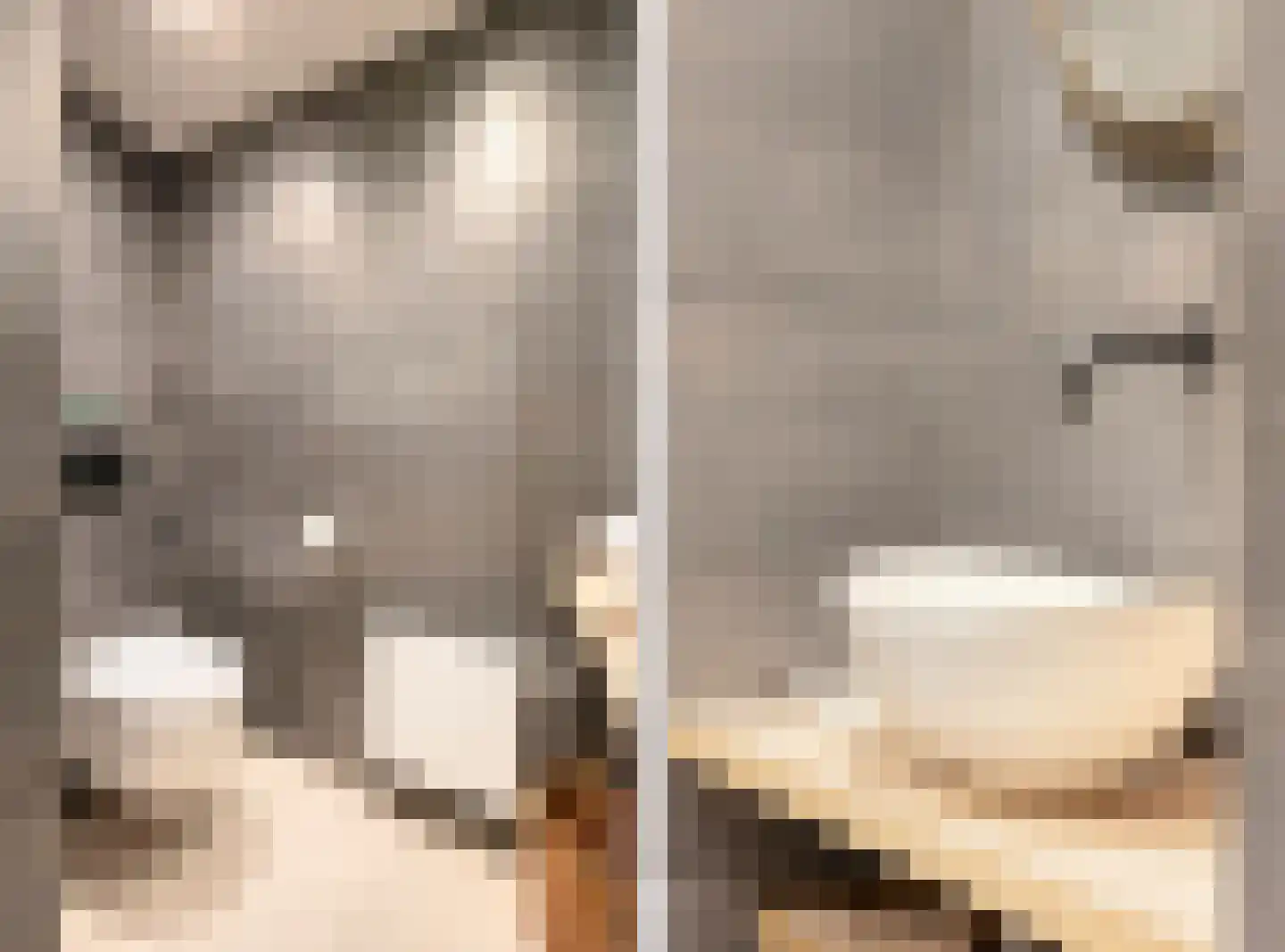 Bremdreef 4 Bergeijk thumbnail 36