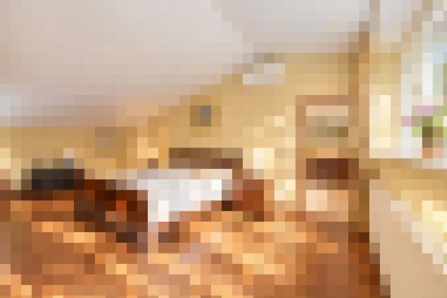 Bremdreef 4 Bergeijk thumbnail 39