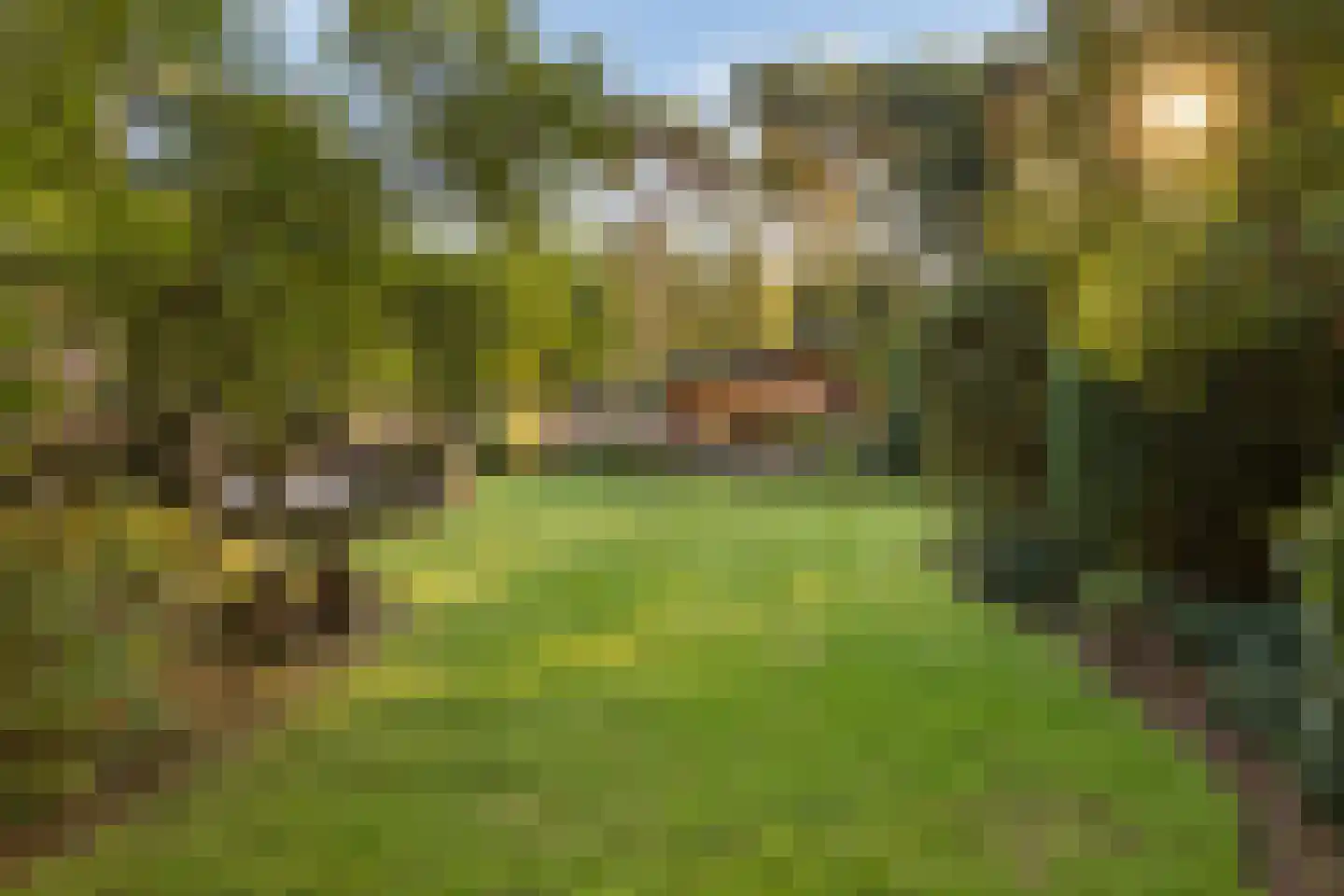 Bremdreef 4 Bergeijk thumbnail 4