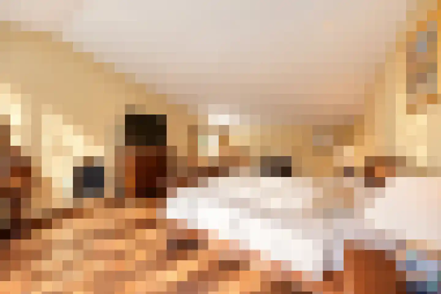 Bremdreef 4 Bergeijk thumbnail 42