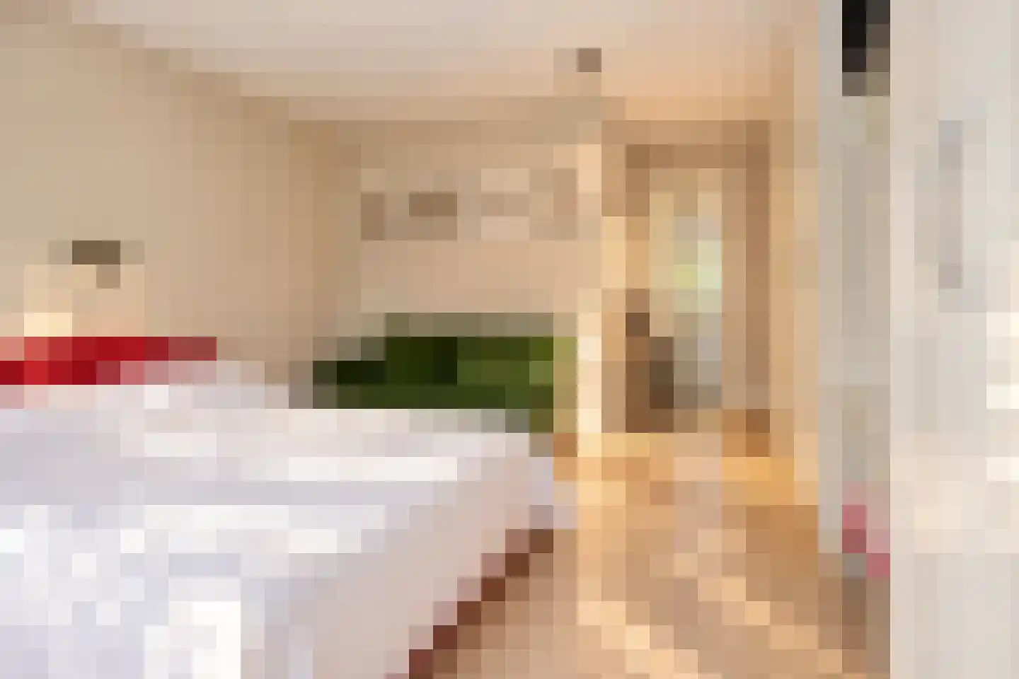 Bremdreef 4 Bergeijk thumbnail 44