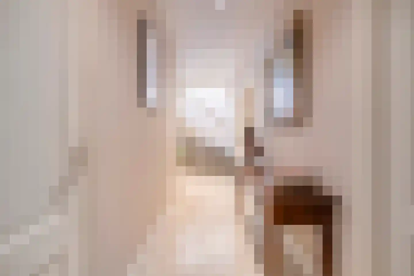 Bremdreef 4 Bergeijk thumbnail 46