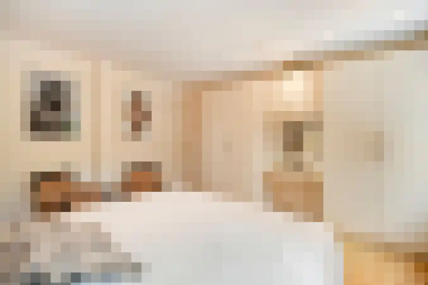 Bremdreef 4 Bergeijk thumbnail 48