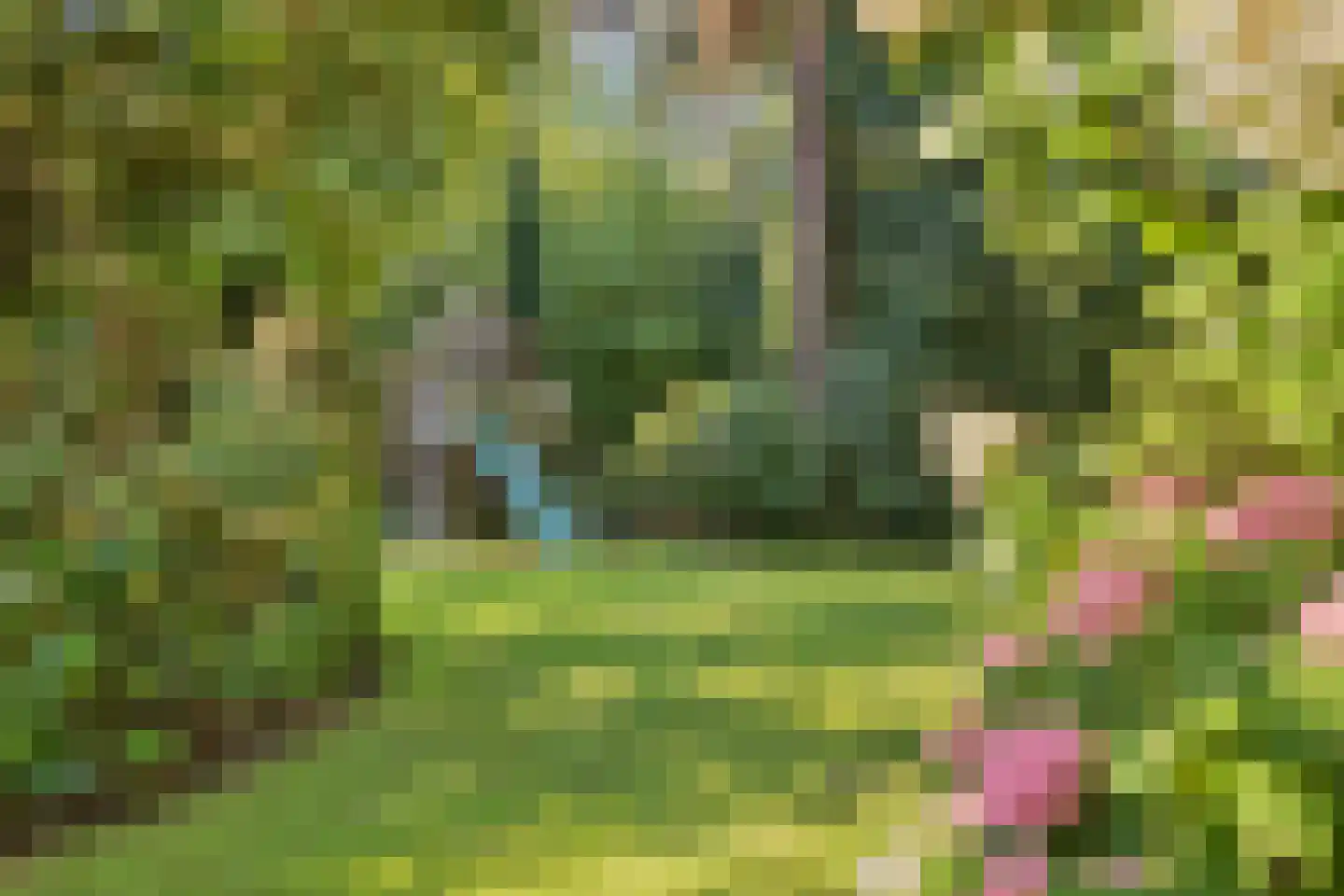 Bremdreef 4 Bergeijk thumbnail 55