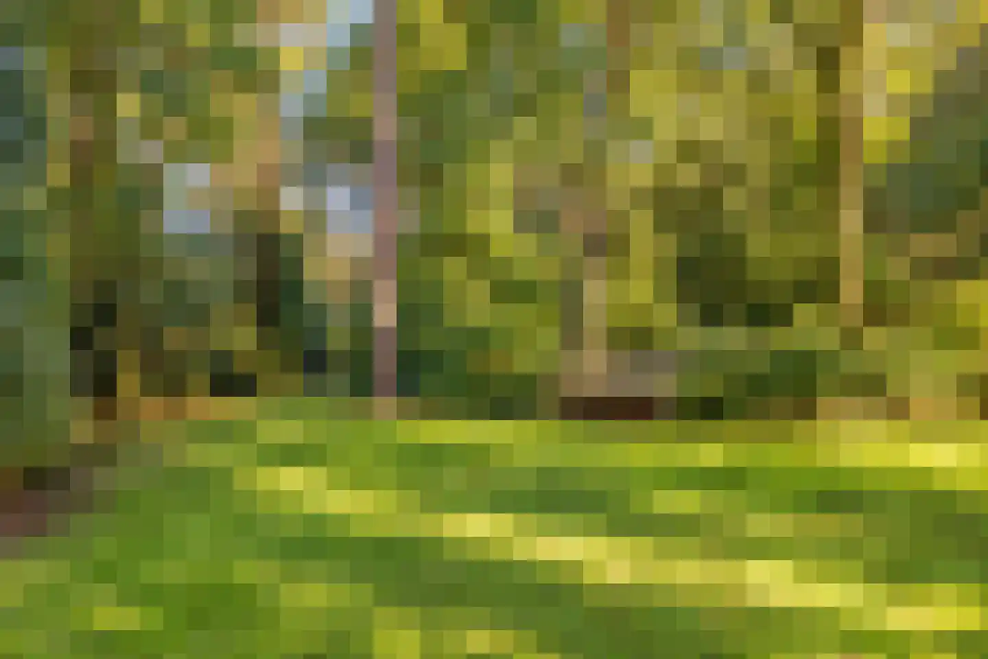 Bremdreef 4 Bergeijk thumbnail 56
