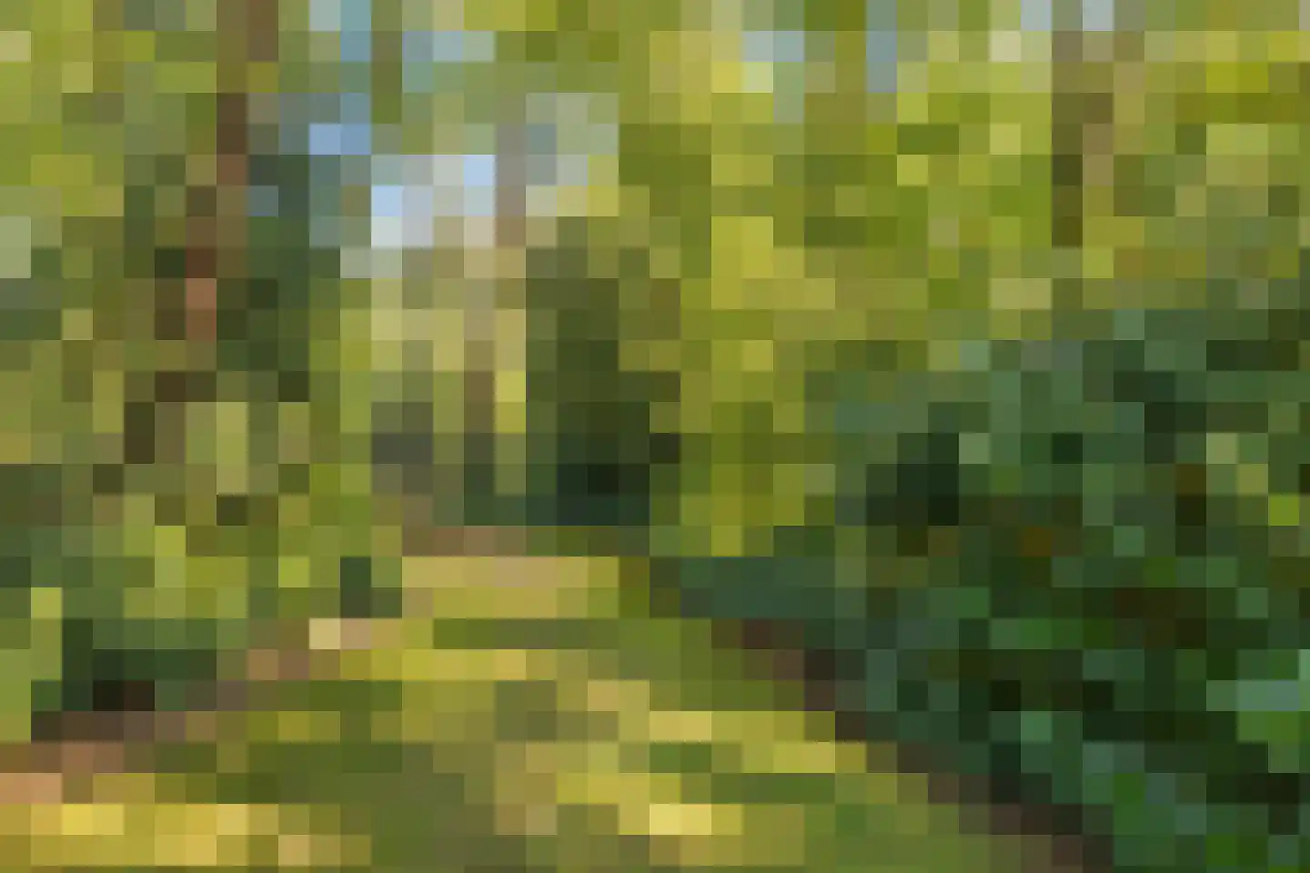 Bremdreef 4 Bergeijk thumbnail 57