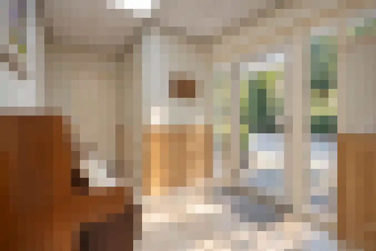 Bremdreef 4 Bergeijk thumbnail 61