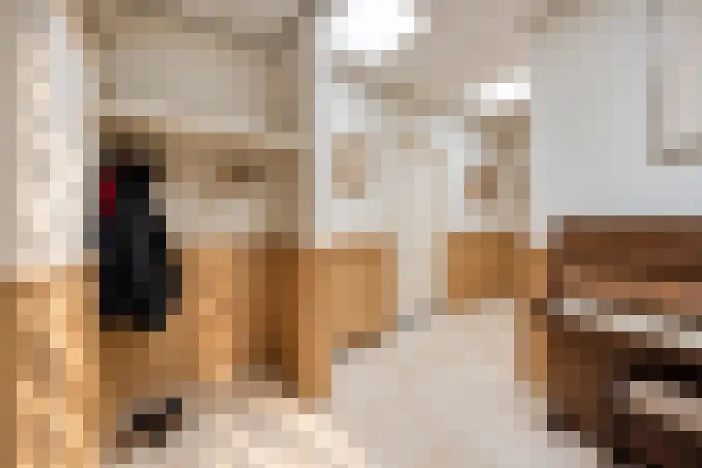 Bremdreef 4 Bergeijk thumbnail 62
