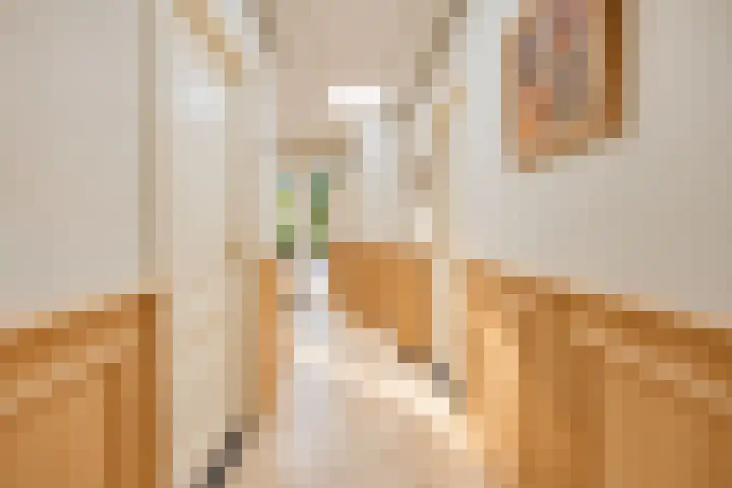 Bremdreef 4 Bergeijk thumbnail 63