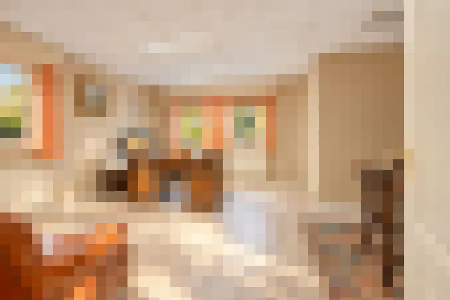 Bremdreef 4 Bergeijk thumbnail 65