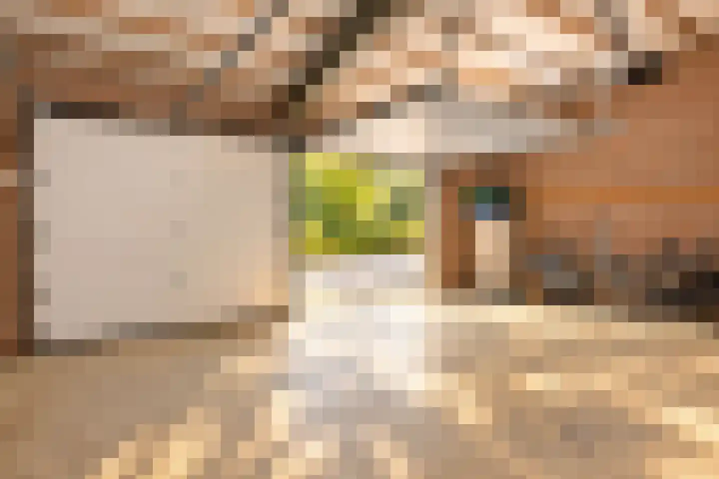 Bremdreef 4 Bergeijk thumbnail 67