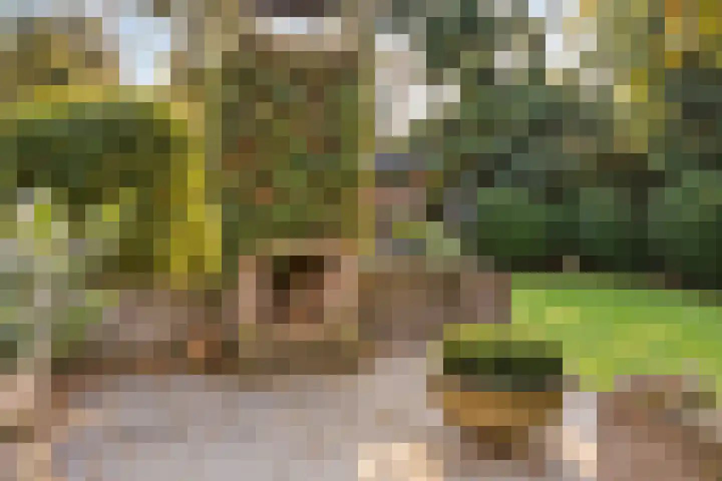 Bremdreef 4 Bergeijk thumbnail 9