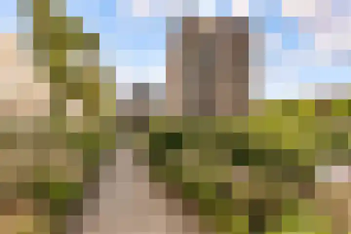 Bremenstraat 59 Zwolle thumbnail 30