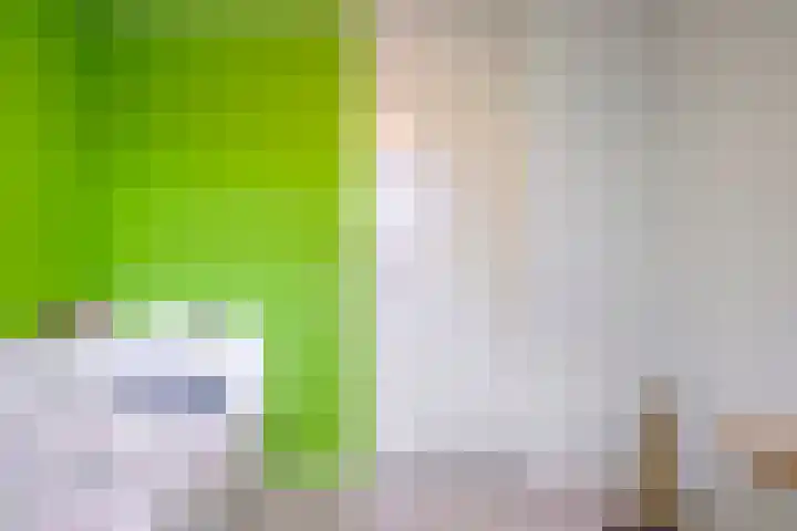 Bremenstraat 64 Zwolle thumbnail 16