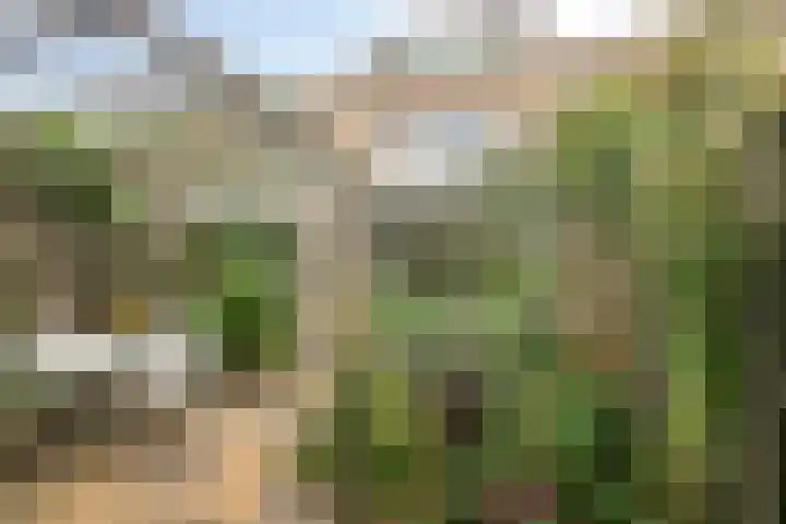 Bremenstraat 64 Zwolle thumbnail 30