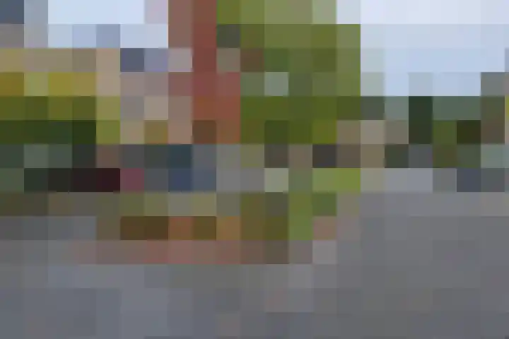 Bremenstraat 64 Zwolle thumbnail 31