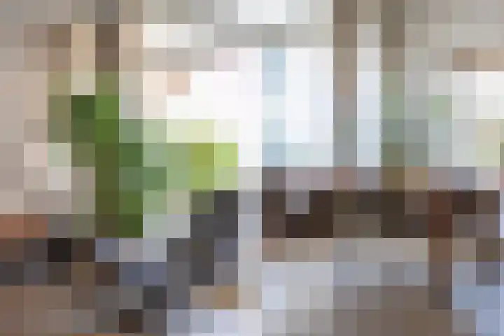 Bremenstraat 65 Zwolle thumbnail 13