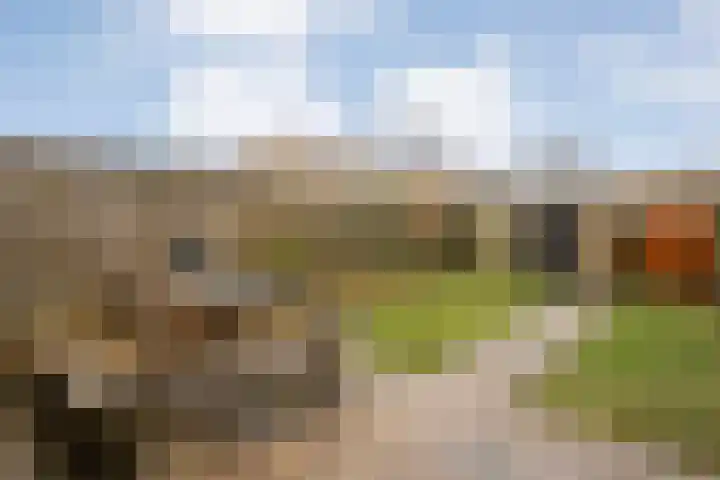 Bremenstraat 68 Zwolle thumbnail 31