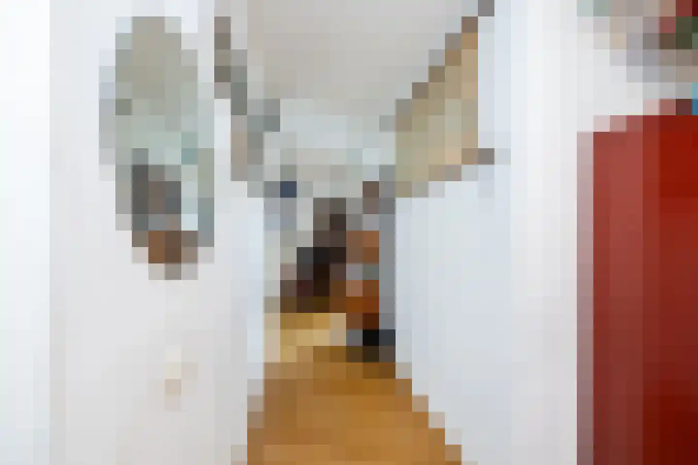 Bremenstraat 87 Zwolle thumbnail 14