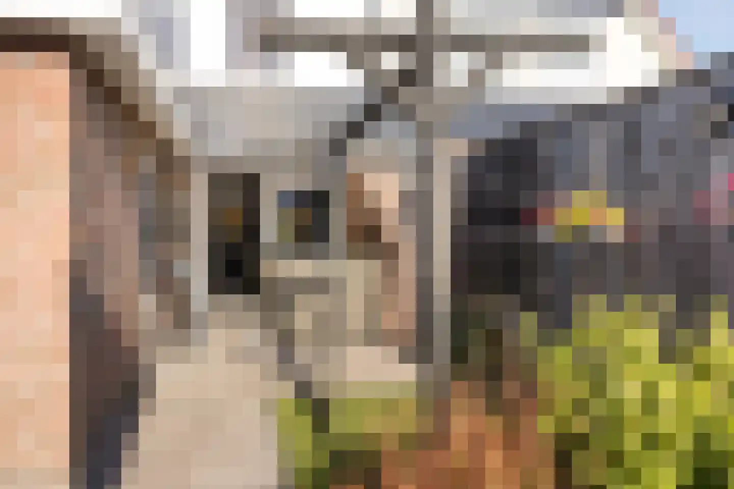 Bremerheide 7 Wijnjewoude thumbnail 31