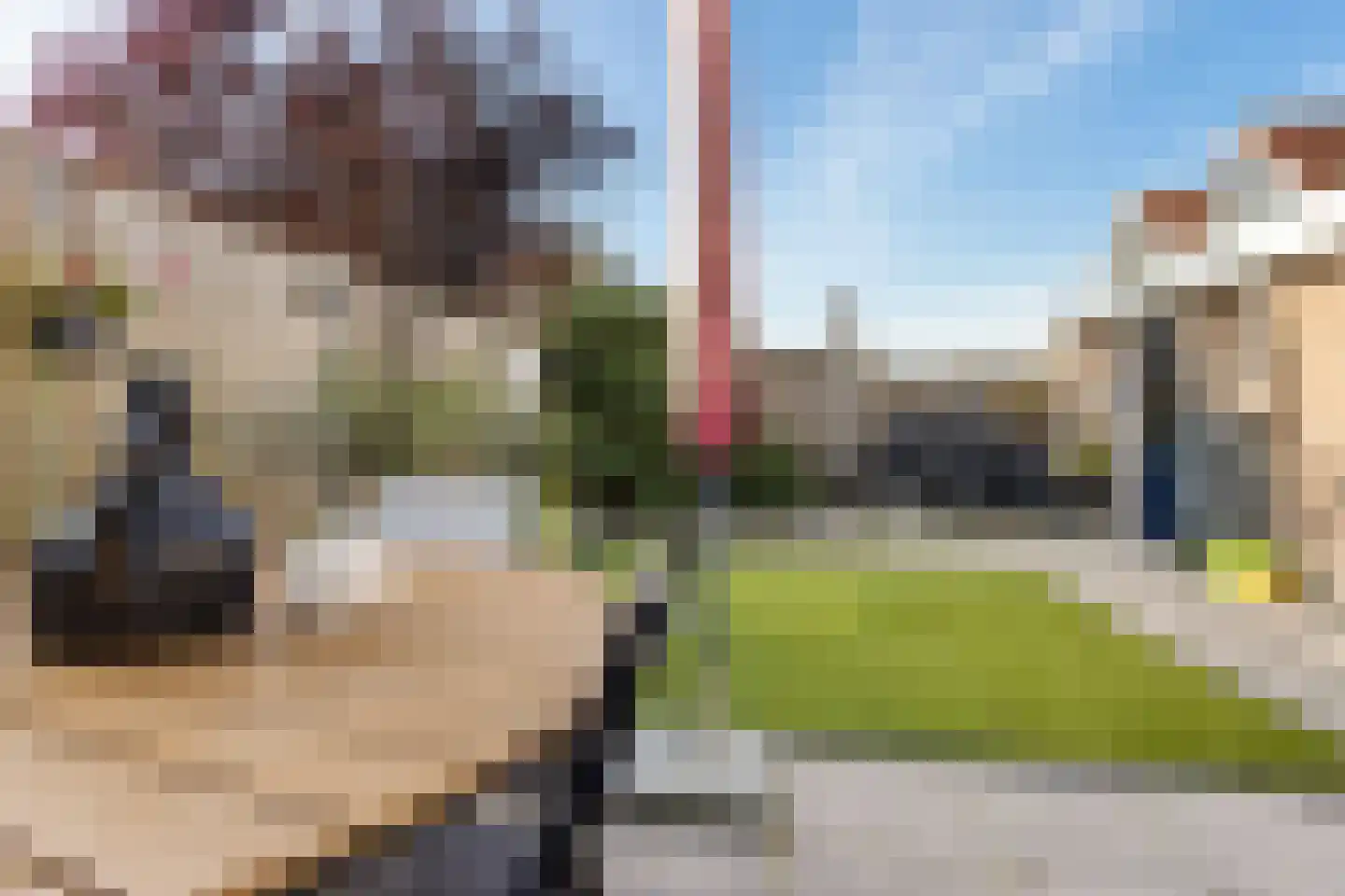 Bremerheide 7 Wijnjewoude thumbnail 37