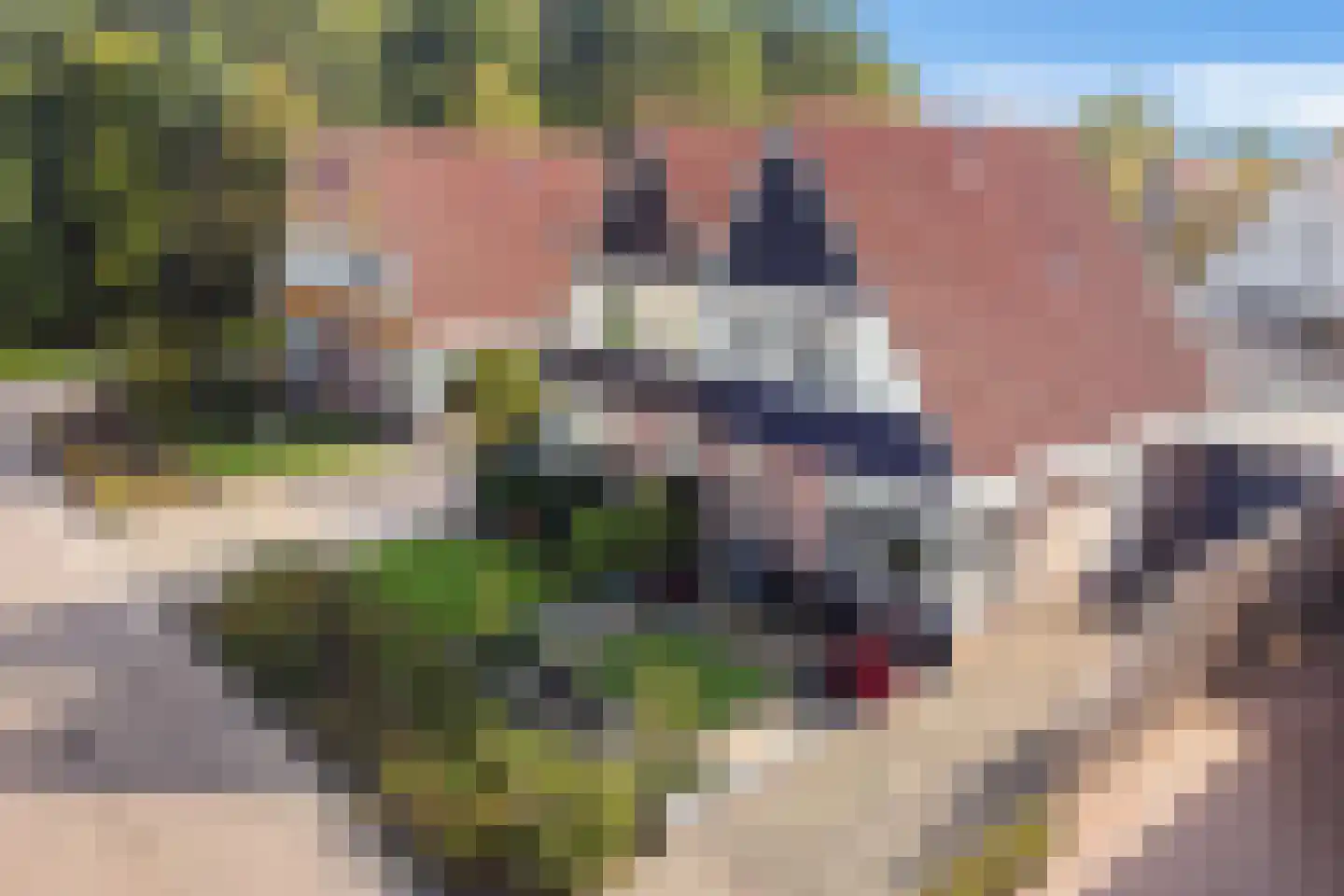 Bremerheide 7 Wijnjewoude thumbnail 42
