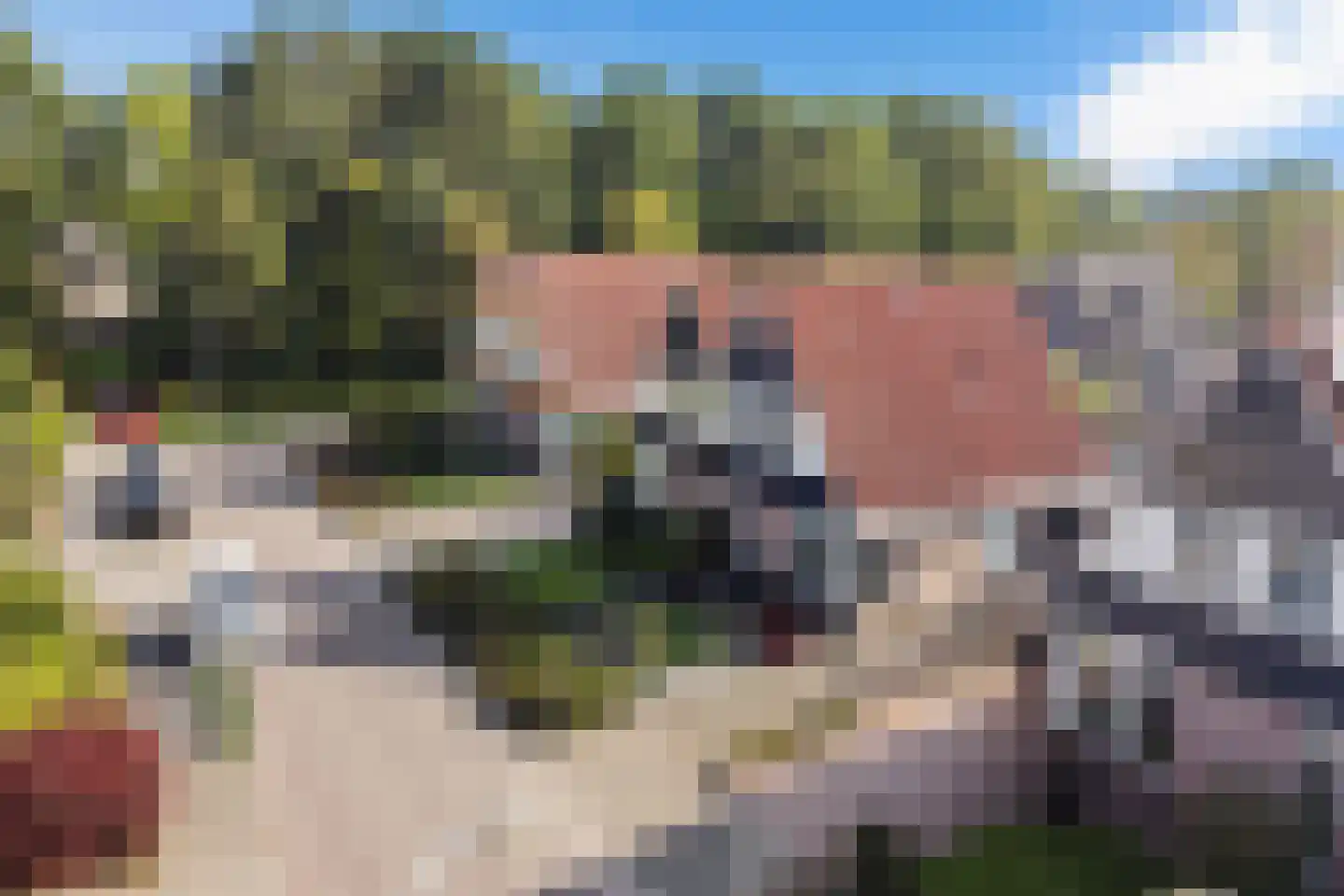 Bremerheide 7 Wijnjewoude thumbnail 45