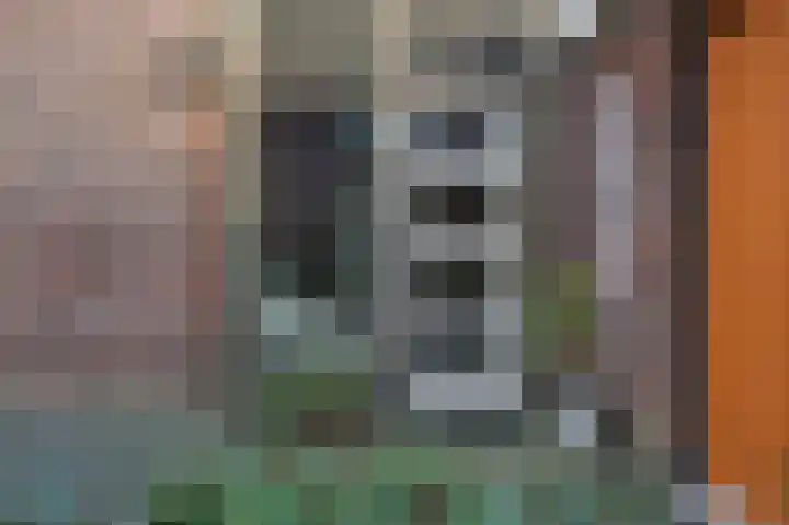 Bremerland 6 Roden thumbnail 10