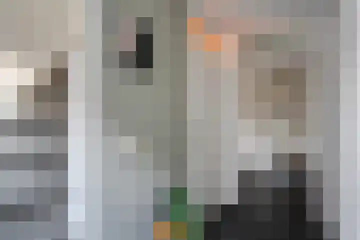 Bremerland 6 Roden thumbnail 11