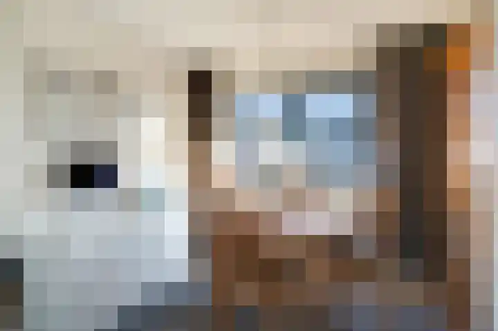 Bremerland 6 Roden thumbnail 25