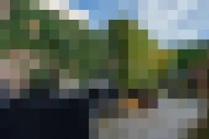 Bremerland 6 Roden thumbnail 36
