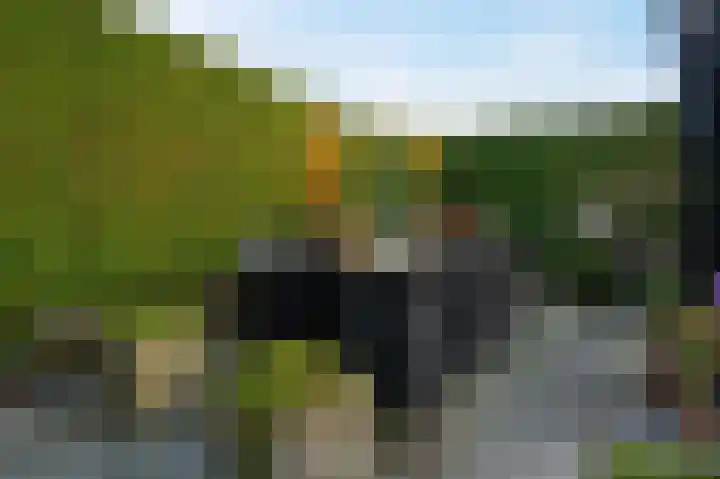 Bremerland 6 Roden thumbnail 40