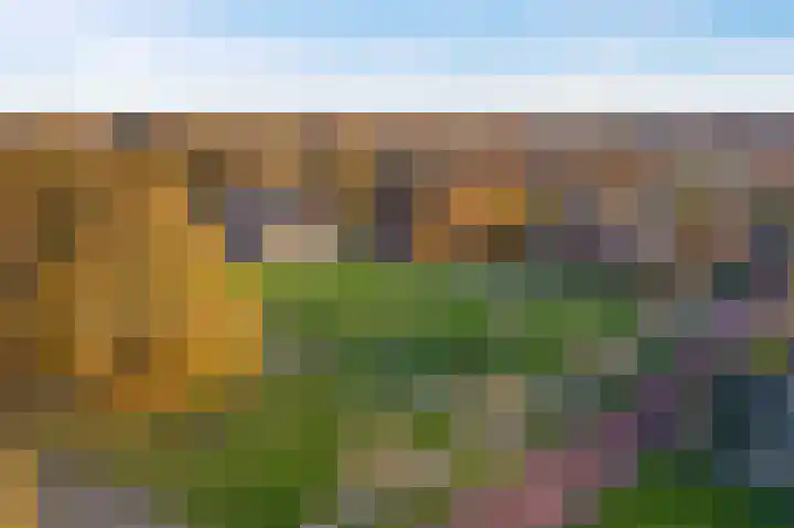 Bremerland 6 Roden thumbnail 47