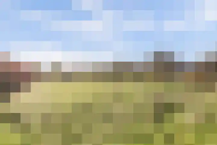 Bremheuvel 5 Sint Anthonis thumbnail 10