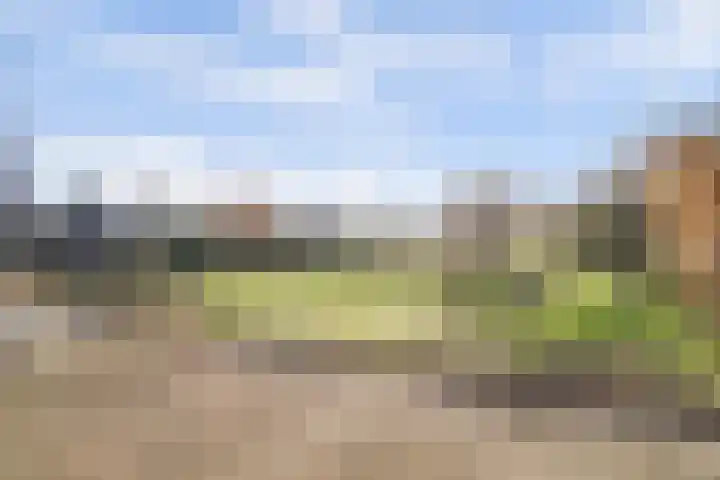 Bremheuvel 5 Sint Anthonis thumbnail 11