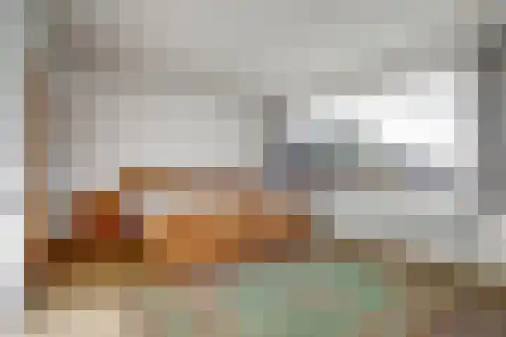Bremheuvel 5 Sint Anthonis thumbnail 22