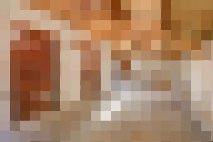 Bremheuvel 5 Sint Anthonis thumbnail 31
