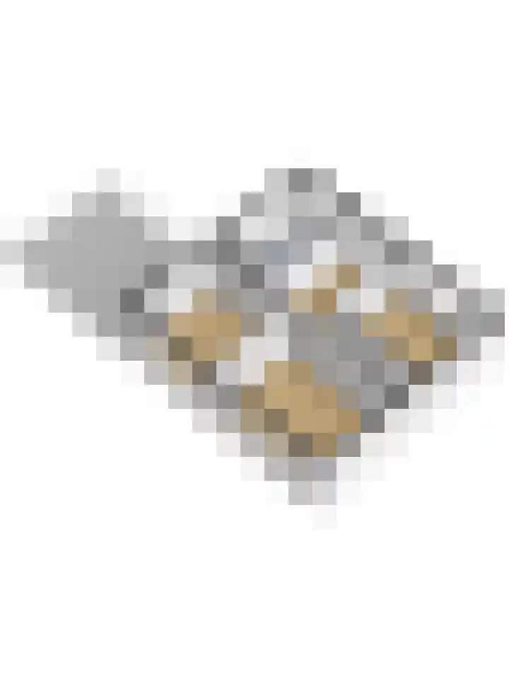 Bremheuvel 5 Sint Anthonis thumbnail 37