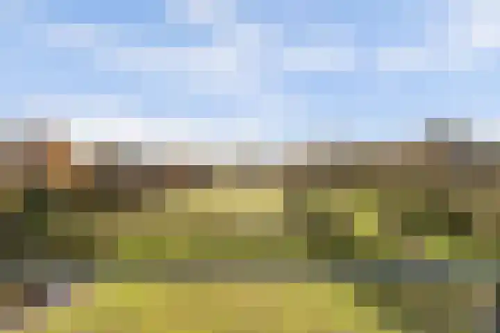 Bremheuvel 5 Sint Anthonis thumbnail 7