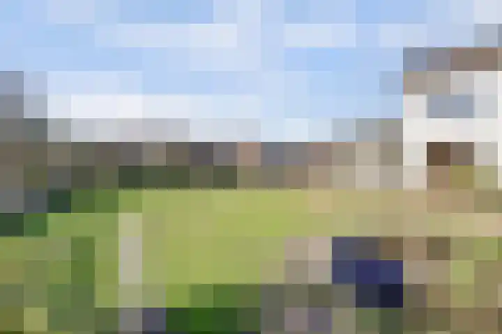 Bremheuvel 5 Sint Anthonis thumbnail 8