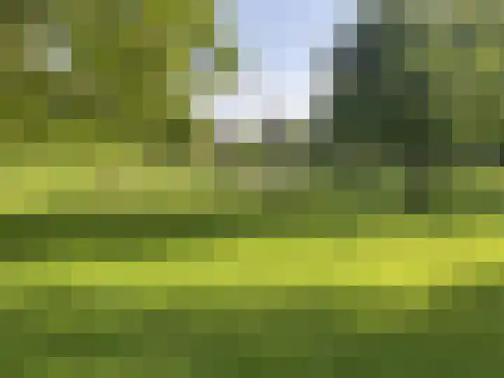 Bremheuvel 5 Sint Anthonis thumbnail 9