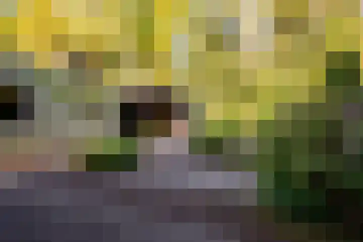 Bremhoek 13 Nunspeet thumbnail 28