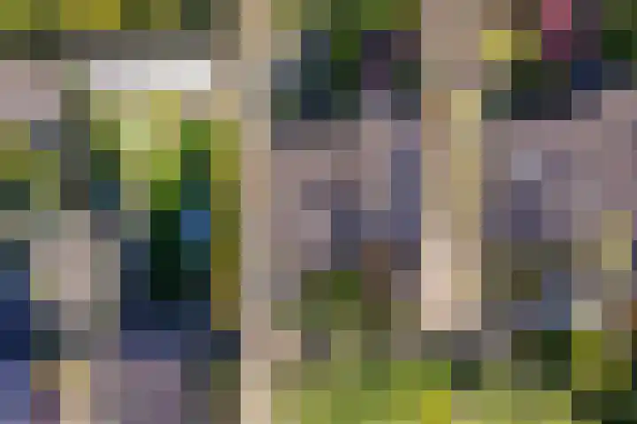 Bremhoek 13 Nunspeet thumbnail 30