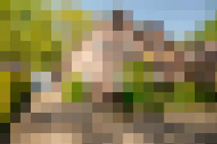 Bremhoek 13 Nunspeet thumbnail 33