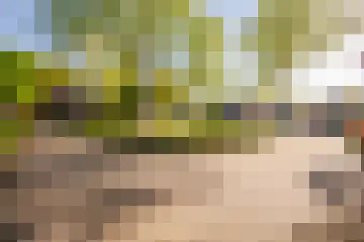 Bremhoek 13 Nunspeet thumbnail 5