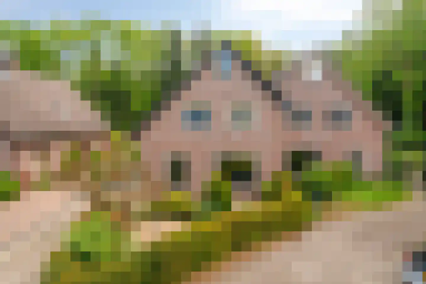 Bremhoek 17 in Nunspeet
