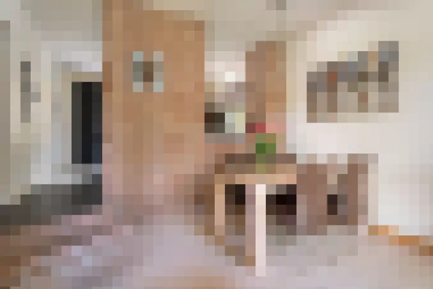 Bremhoek 17 Nunspeet thumbnail 15