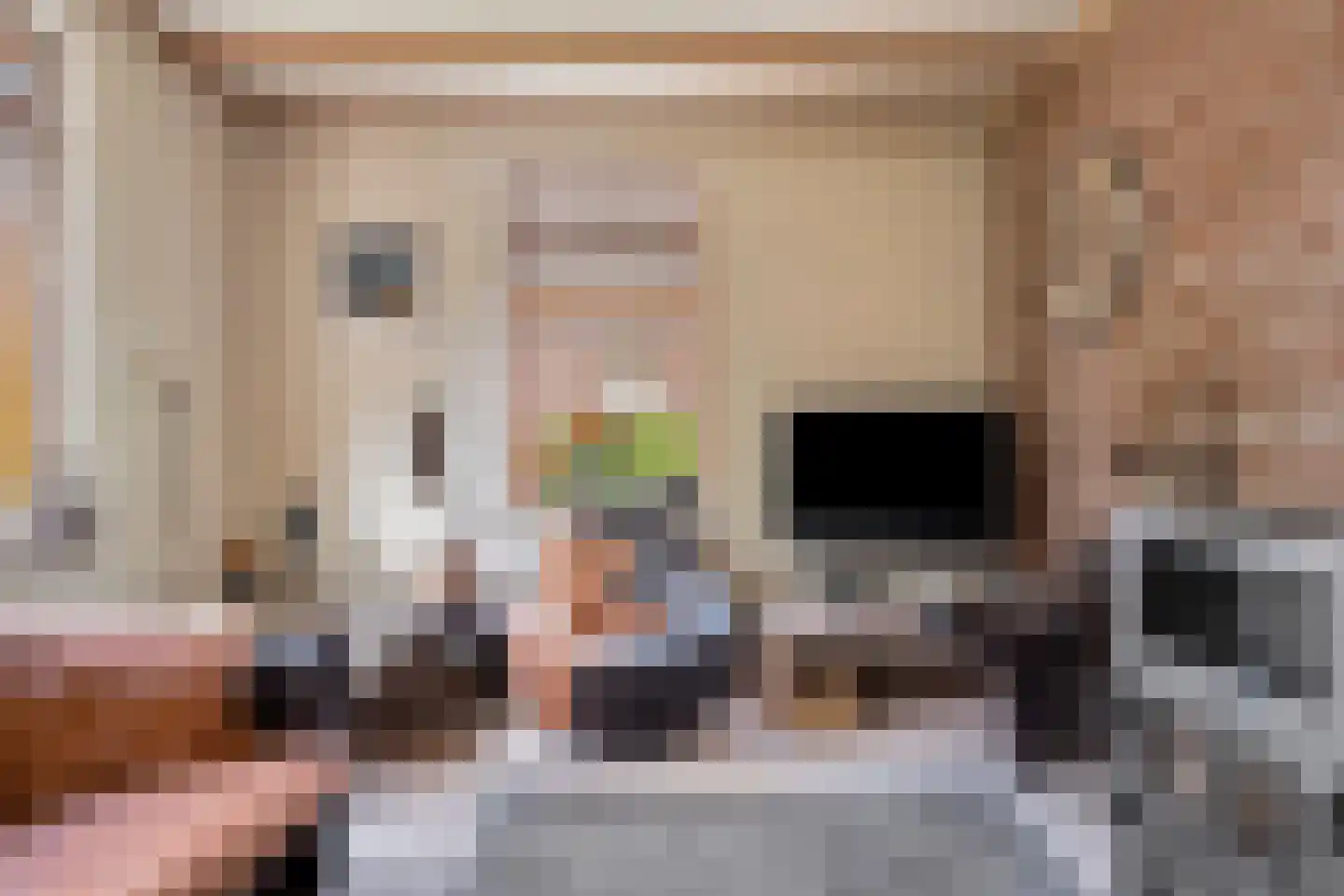 Bremhoek 17 Nunspeet thumbnail 16