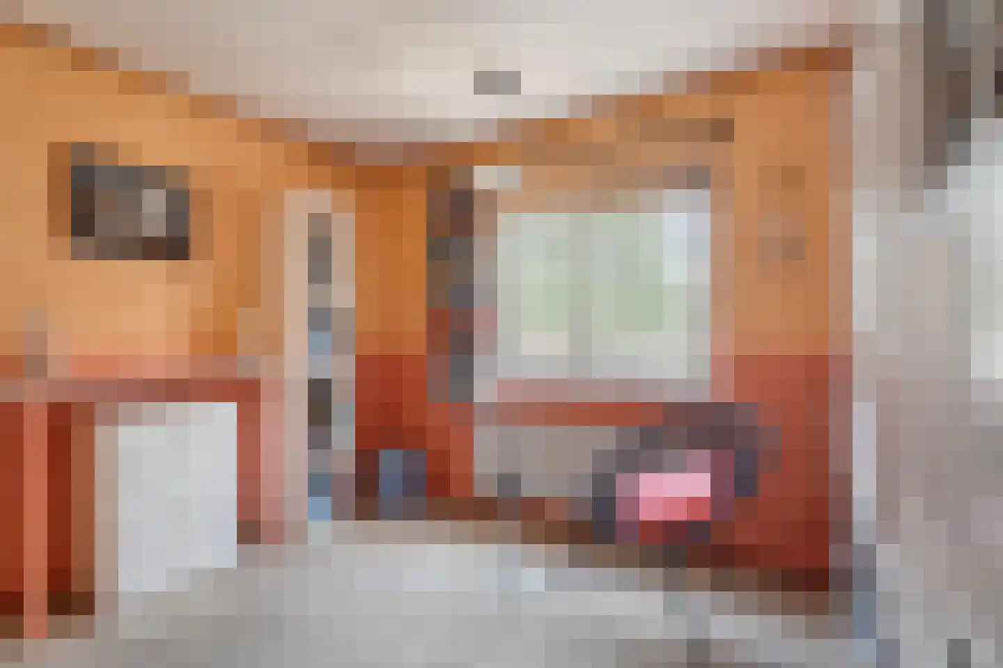 Bremhoek 17 Nunspeet thumbnail 38