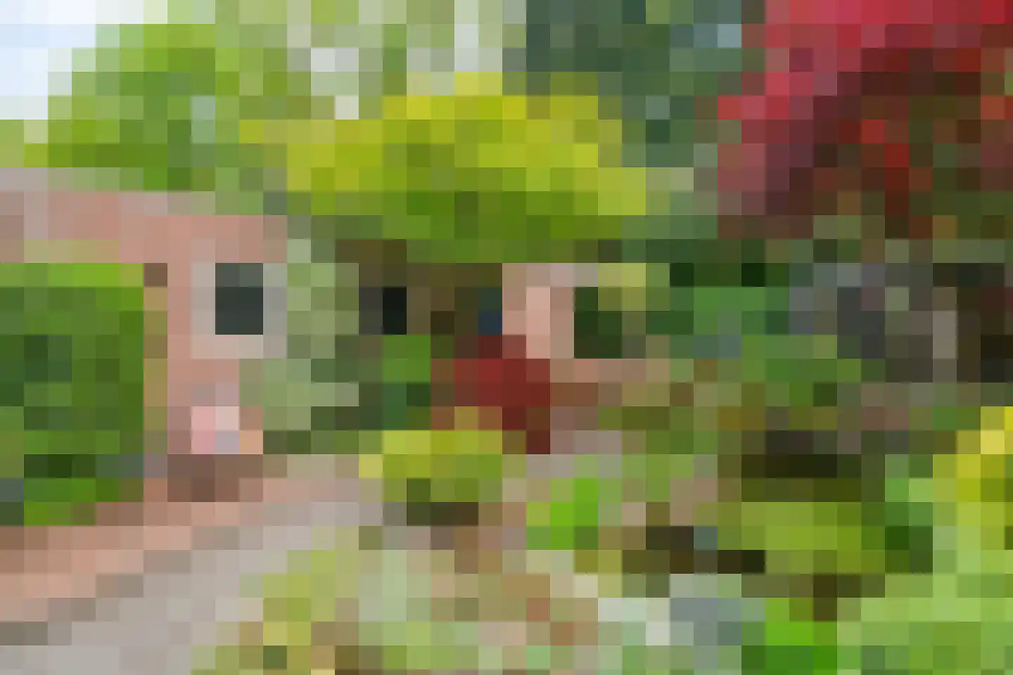 Bremhoek 17 Nunspeet thumbnail 45